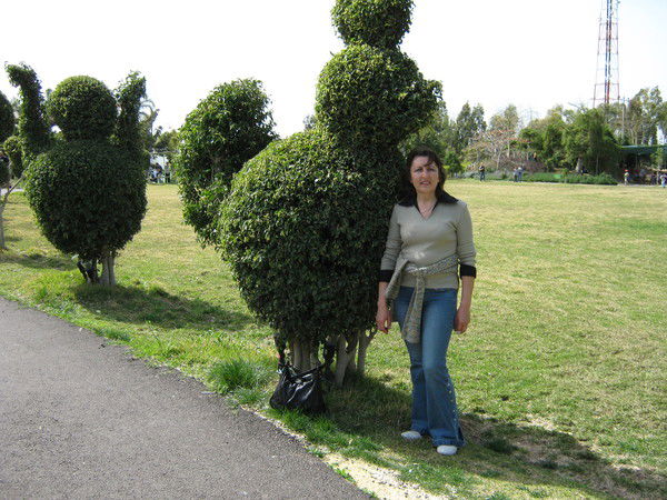 Юлия Шкиопу