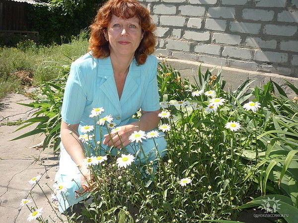 Лина Коструба