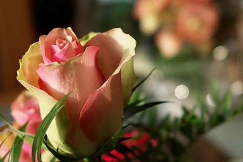 Мария Якущенко