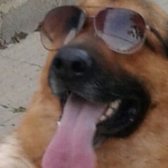 Андрей Большаков