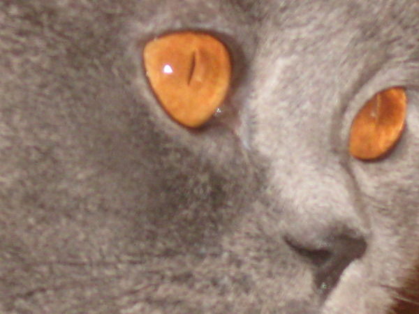 Наталья Ткач