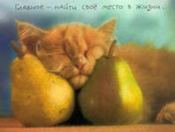 Катрин Стюарт