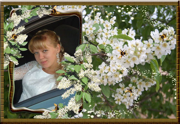 Алена Левандовская