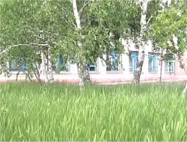 Белоусовка Белоусовскя Школа