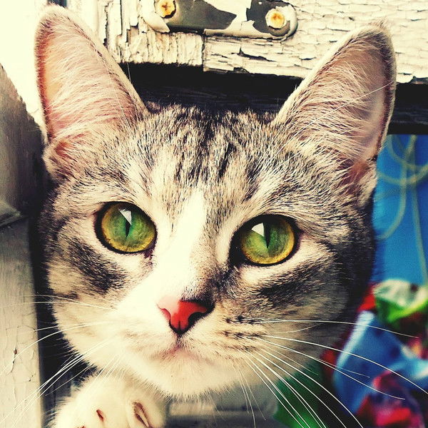 Наталья Кулакова