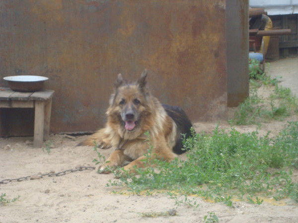 Ольга Гудилина