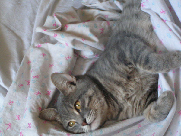 Оля Фирстова