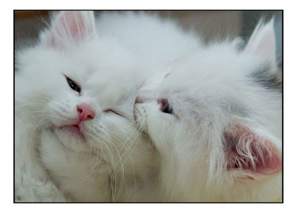 Виктория Литвинова