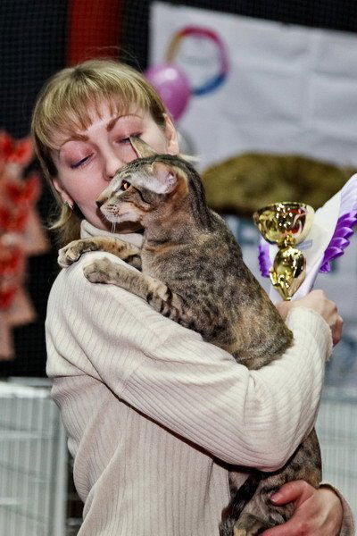 Наталья Косенок