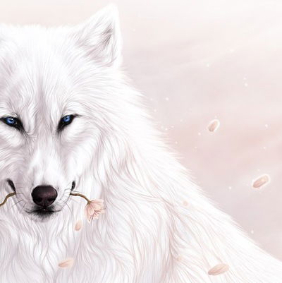 Инна Лисенко