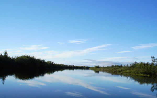 Ирина Бабичева