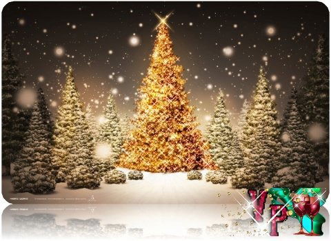 Сшл№18 Сшл№18 Им Бактыбая Жолбарысулы