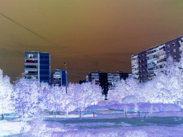 Роман Анисимов