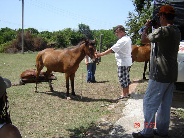 Михаил Ларин