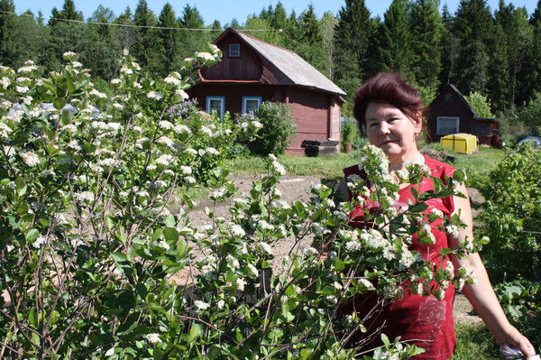 Галина Костина