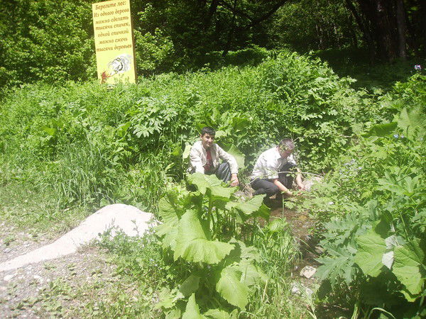 Karomatullo Khujayorov