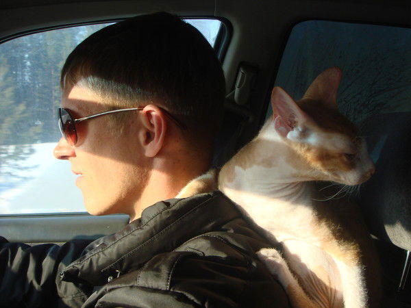 Кирилл Логинов