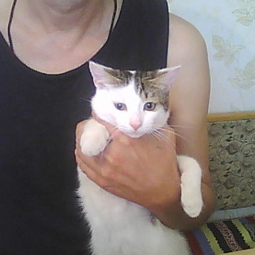 Амельяненко Андрей