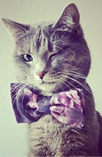 Роман Швейкин