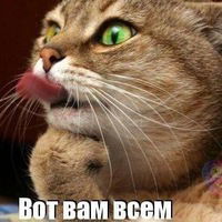 Кирилл Сидорков