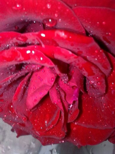 Гульвира Абдумуратова