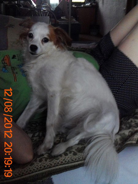 Геннадий Чубковец