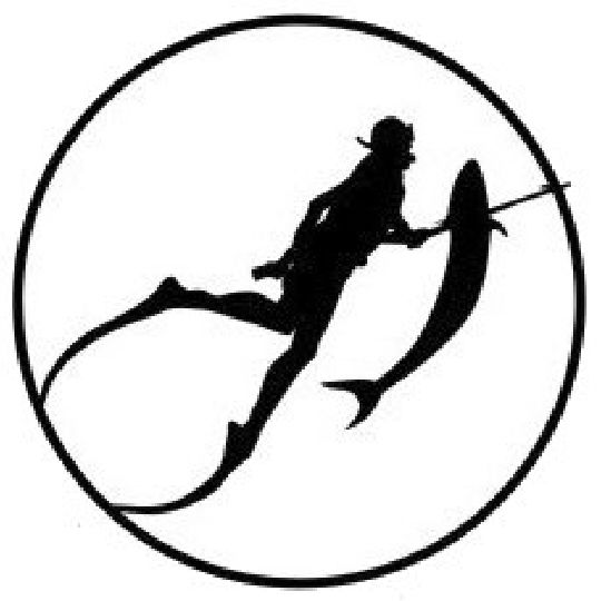 Сергей Никулин