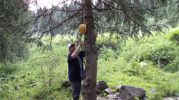 Эдуард Карпов