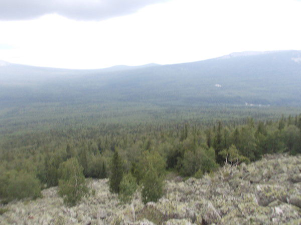 Елена Матвиенко