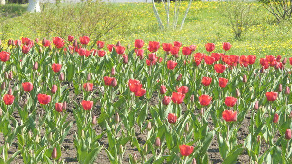 Равиля Абдурахимова