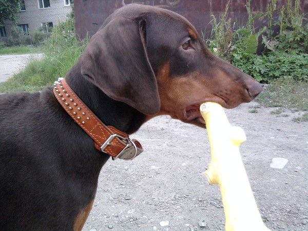 Дмитрий Иванович