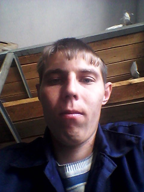 Дмитрий Золотуев