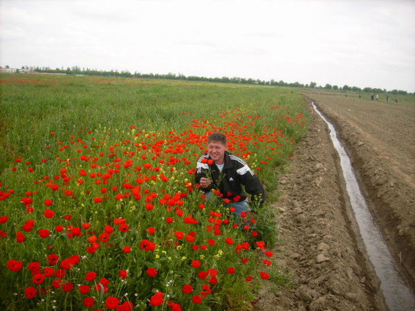 Рустам Курмаев