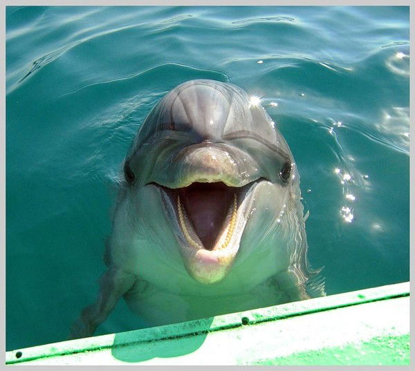 Наталья Абрамова