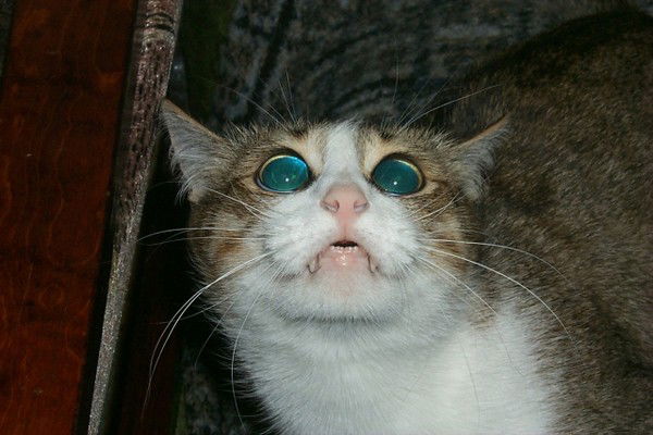 Владик Михалченок