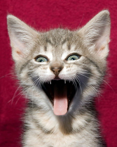 Гайдук Андрей