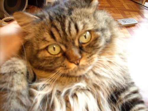 Ксюша Барышкова