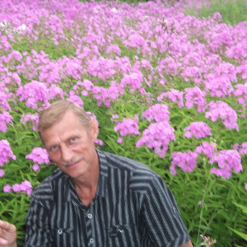 Вячеслав Гончаров