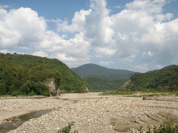 Ольга Журавлева