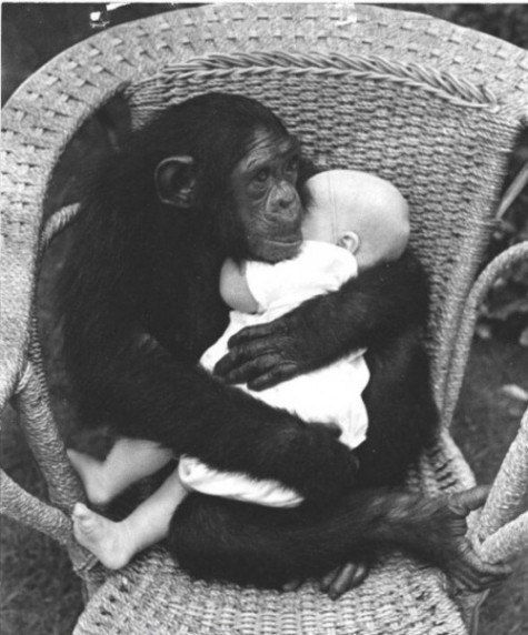 Нафиса Кутлиахметова