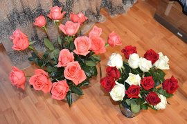 Виктория Гельвих