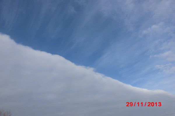 Евгения Ермолаева