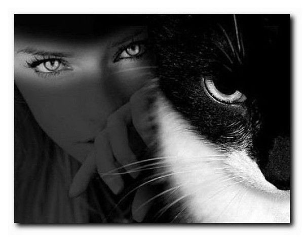 Елена Смирнова