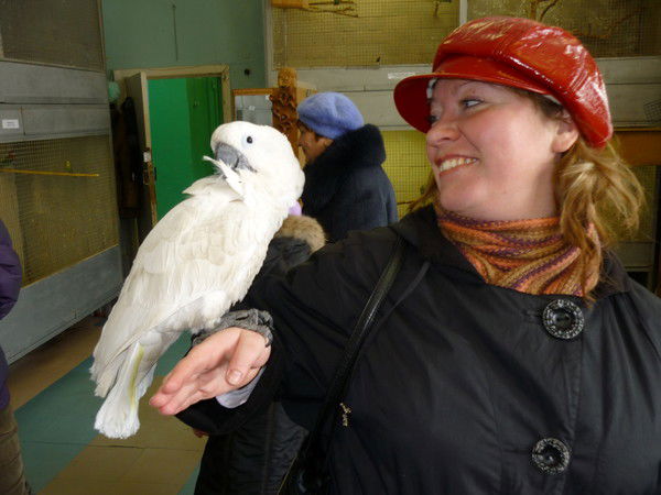 Надежда Серёдкина