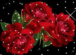 Акканым Бисалиева