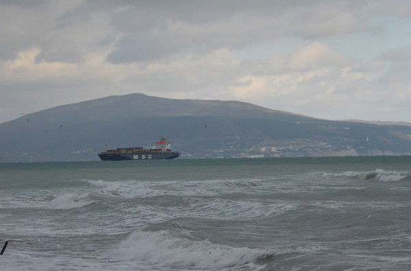 Павел Шешин