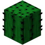 Даниил Патраков