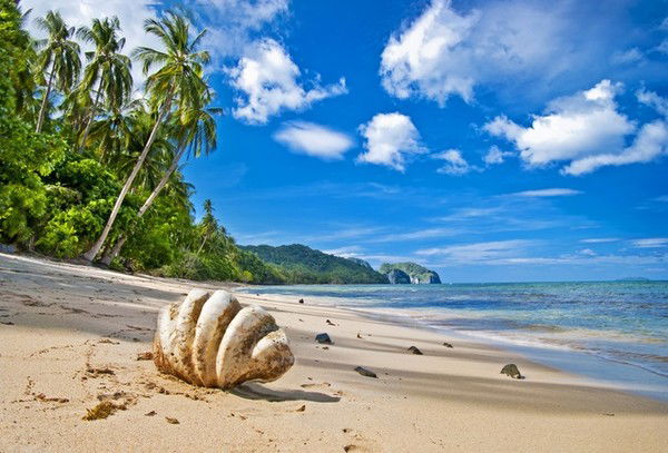 Кобдинский Районный Отдел Предпринимательства