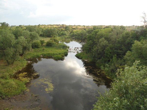 Виктор Горашко