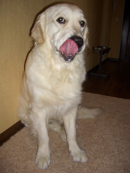 Марина Сизова